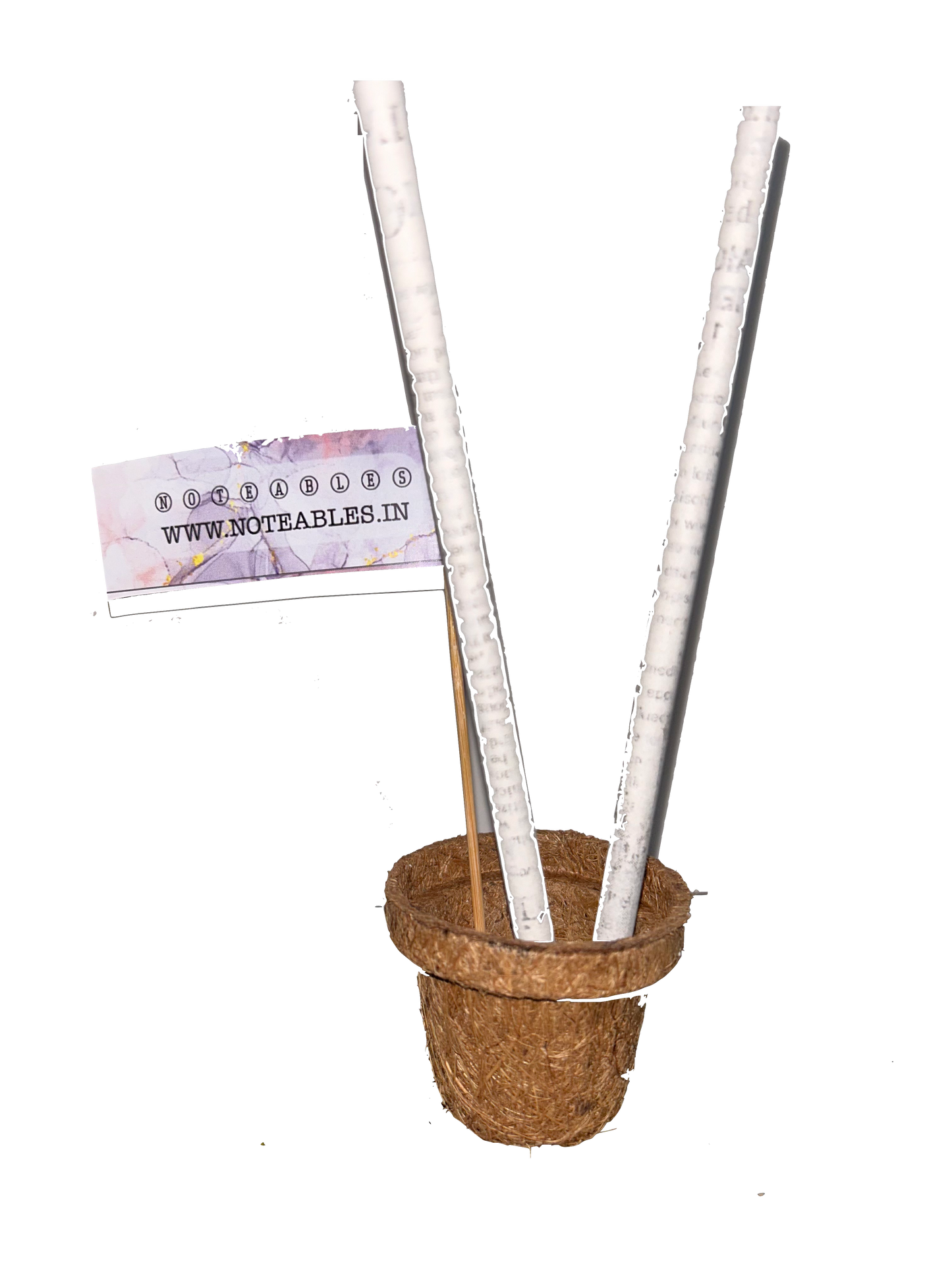 Plantable Pot (Coir Planter)