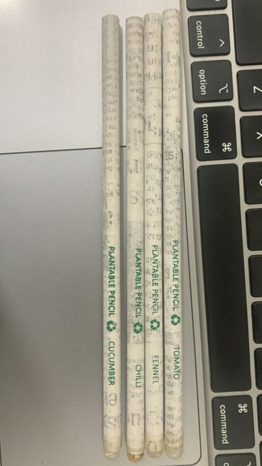 Plantable & Recyclable Newspaper Pencils (Pack of 10)